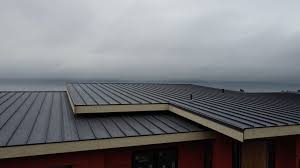 Best Rubber Roofing (EPDM, TPO)  in South Alamo, TX